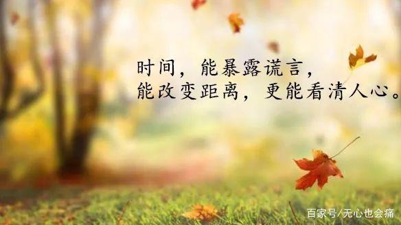 難紅百日，感受至深，一朝辭去又凌雲打一最准生肖，详细解答、科学解答解释落实